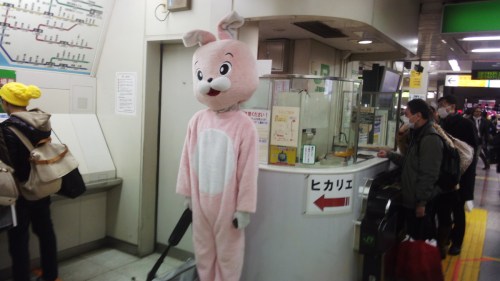 IMG_20121220_194839868