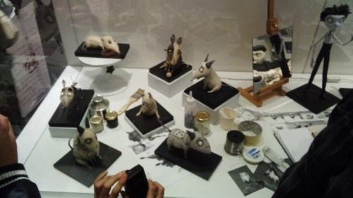 IMG_20121223_142539695