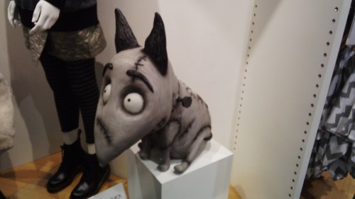 IMG_20121223_14361582