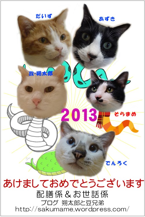 HappyNewYear2013