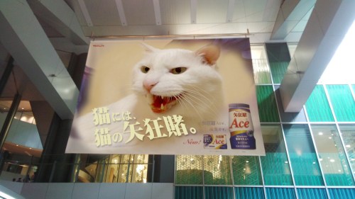 nekoyakult