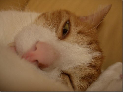 y1p4kbLyW68svkssGujZs92aPvk0odMXXXDwLxaeI2ShIKTax5EuEjv0s_8ECdocOAlrcKplmpSGEpQ5BaVf9eFpg