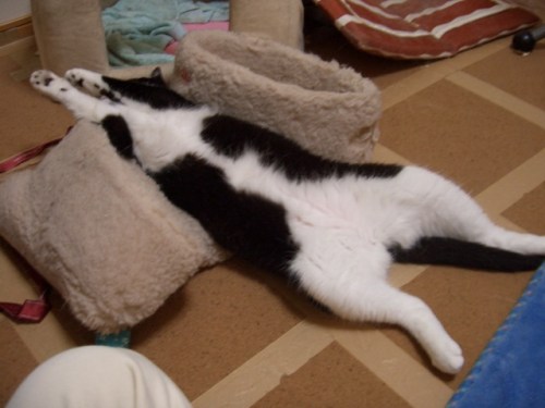 y1pd_8N8fZT_gQUQ7yNPnVqRIJ7bXdj8KQSMEbY52NKhoYhmQKVYPSbcXVhti15tnNTTzDGc1kD9bbcQ7esriaAarACtvEejKTD