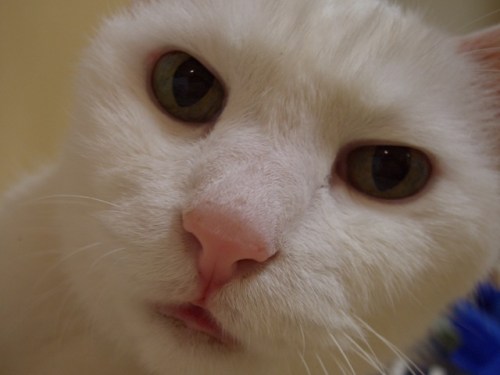 y1pd_8N8fZT_gSvZUCMjefeWCYIbGjmj8WQtIpMQN6ilKlYcRHhn2M57Gz-PYmsinuhg_hKfWqNGI9aD9H5Wj683ewTLcvzLwrL