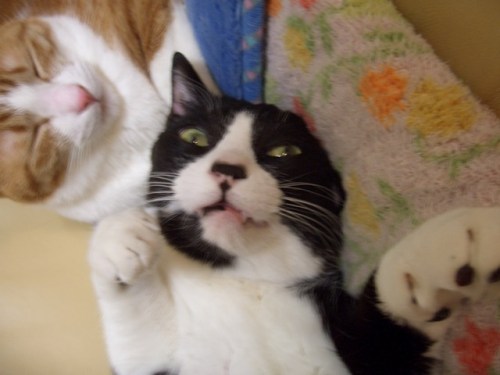 y1py9nNZc9mPb2o9zdIsy2NFK634BJYQ2G4uRYbzSCDizY78JYsRxwvJ0zRJ38DpsbLqhxV7ONplJYoqpI5ixGDJw