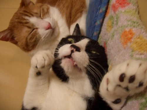 y1py9nNZc9mPb31CUAw5E2e-fZ8U8F4gNg260e_THeRdiGcUnd1fx6wAZBL1yYNNpfnh3Gi_9_vTYRqhQBogtYNLg