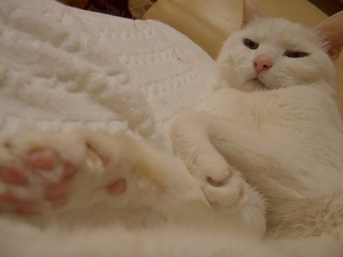 y1pnLPMu8CE3for13lGRcbnl4uLY4JSNb222Yryur-UTVIm87tqT2Y2zeecXF_880YF88nshEK4iLk