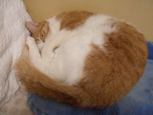 y1pd_8N8fZT_gSbz3KHOb17o3yCAF41cMXGt0E4-fqp7RTddFhyjAQYW_dmXJSt7RUiMVyEQ_YIY1YiFnf1AHFvYZQuCjXpb5Bf