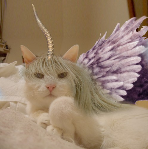 朔太郎白馬のコピー