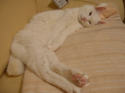 y1pd_8N8fZT_gSZ4b3TqOL5h2_gjEM1tbozAxUAgBfNahUHu2ltuoPCTKajRHeggHdyTOnobZ6YIGjAaOjWCEdFf1v-gWr0piIk