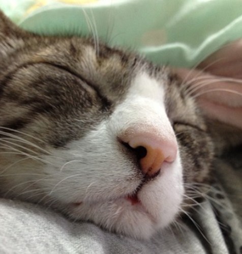 o0389040812825976093