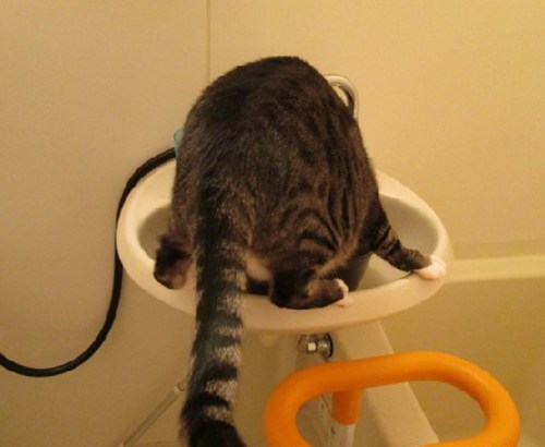 o0488040012827136779