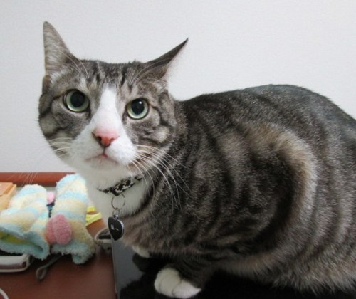 o0545045812803850945