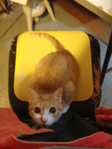 Photo Aug 04, 12 32 13 AM