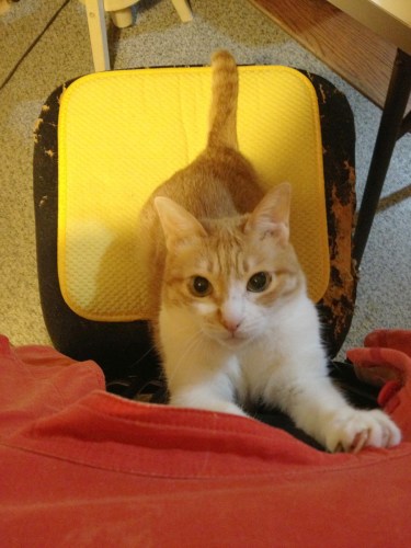 Photo Aug 04, 12 32 30 AM