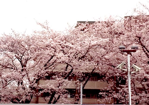 o0540038313608927347