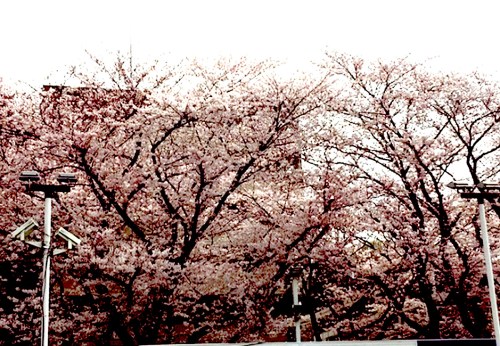 o0556038513608927346