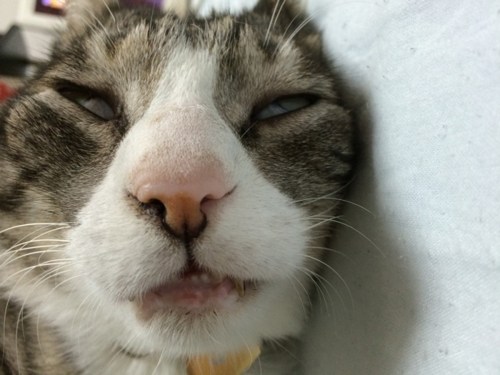 o0480064013094828088