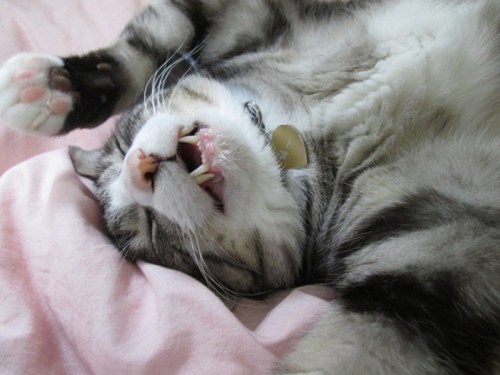 o0544040813655385730