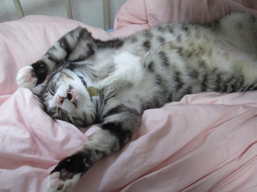 o0551041313655385731